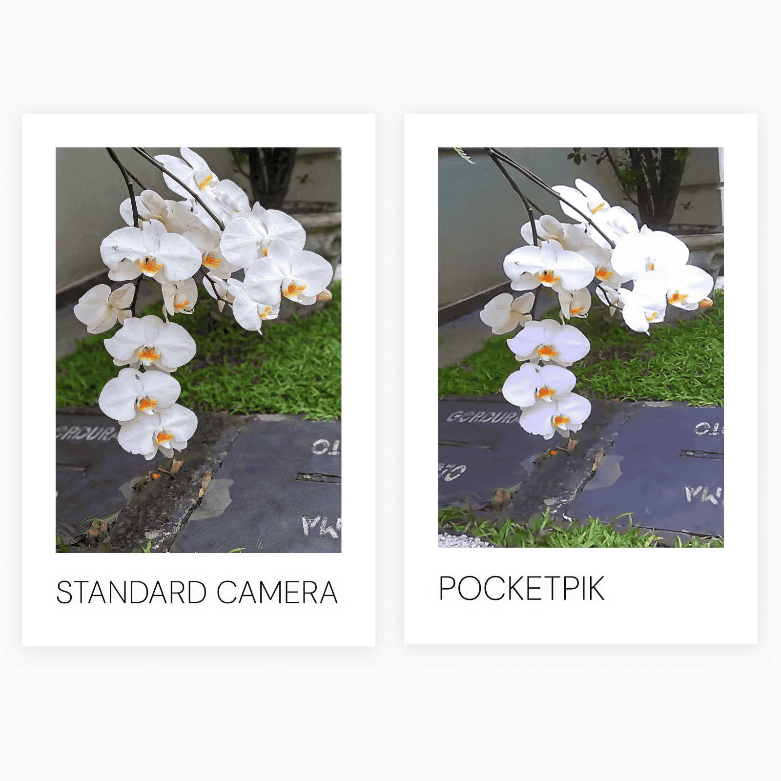 PocketPik Retro Keychain Camera